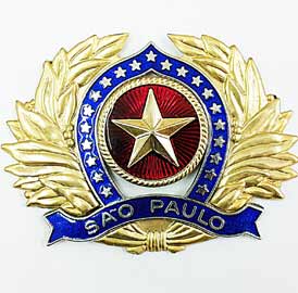 Distintivo de Boina Oficial
