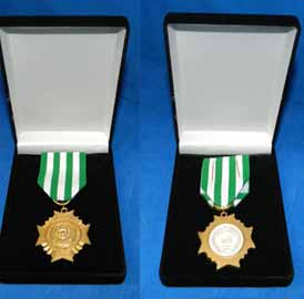 Medalha Hortencia Modelagem