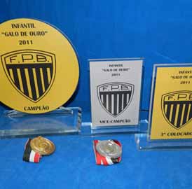 Boxe Infantil Galo de Ouro