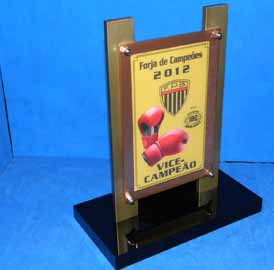 F.P.B. Vice Campeão